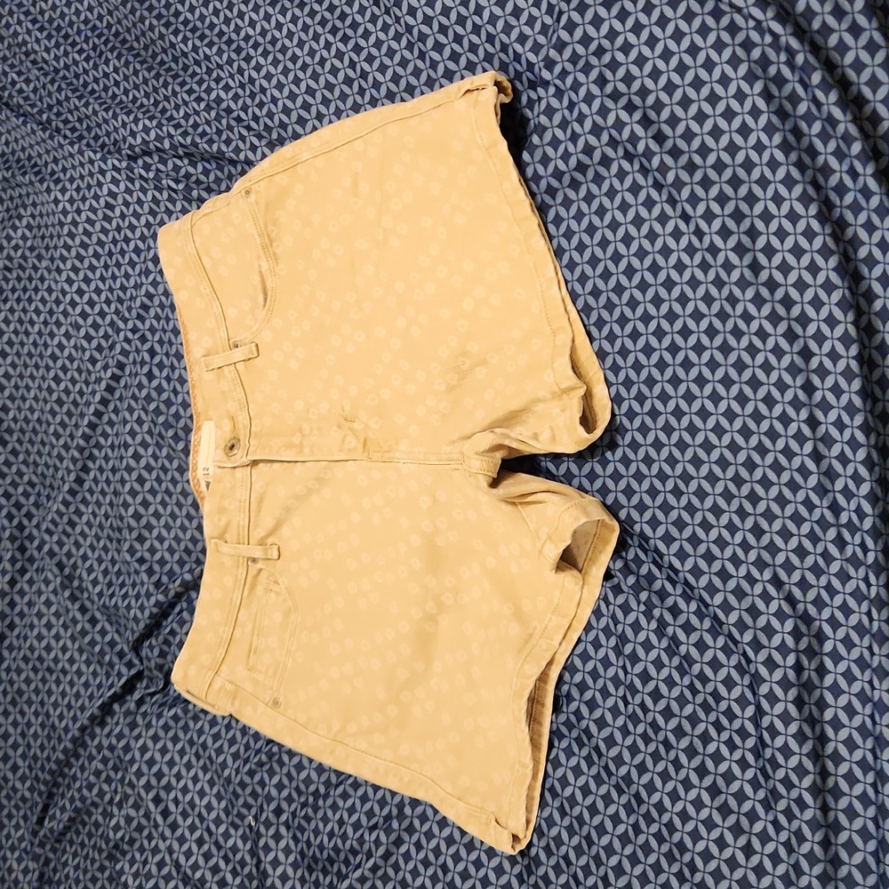 Levis women size 12 short shorts